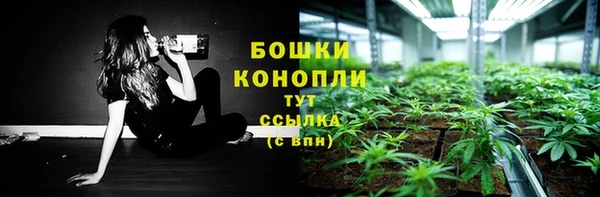 мдпв Коряжма