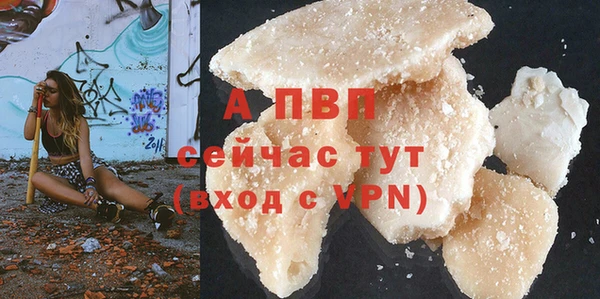 мдпв Коряжма