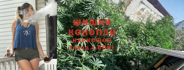 дживик Костерёво