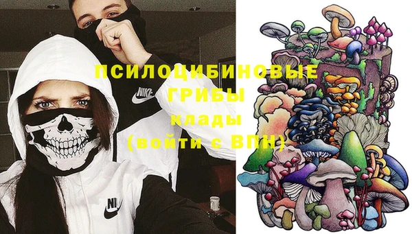 дживик Костерёво