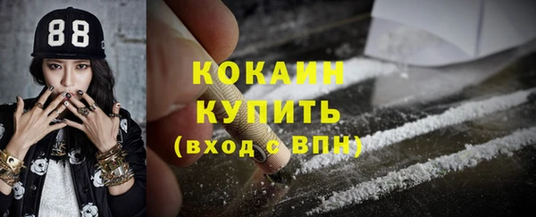 мдпв Коряжма