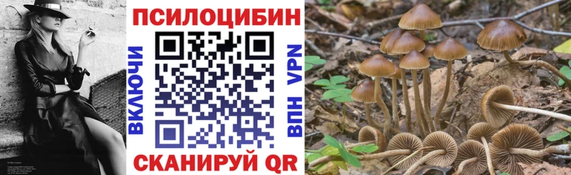 Галлюциногенные грибы мицелий  Кинешма 